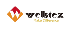 WELLSTEX HOLDING CO.,LIMITED
